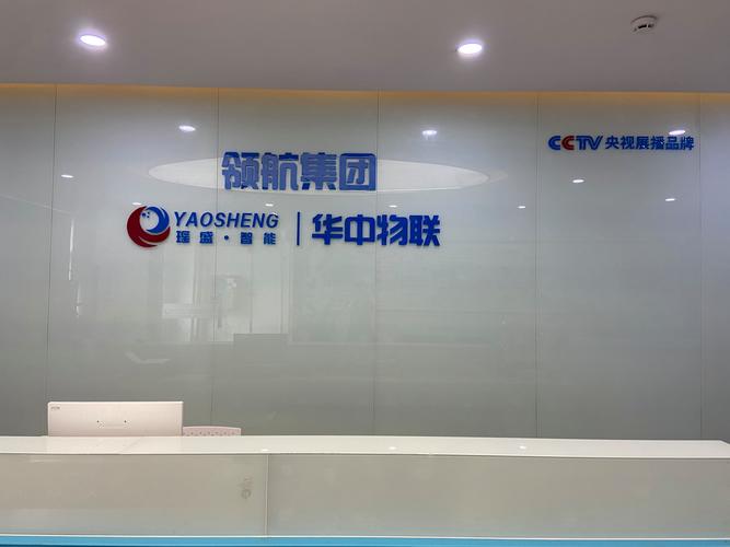 控股集团在深圳投资的战略布局与展望